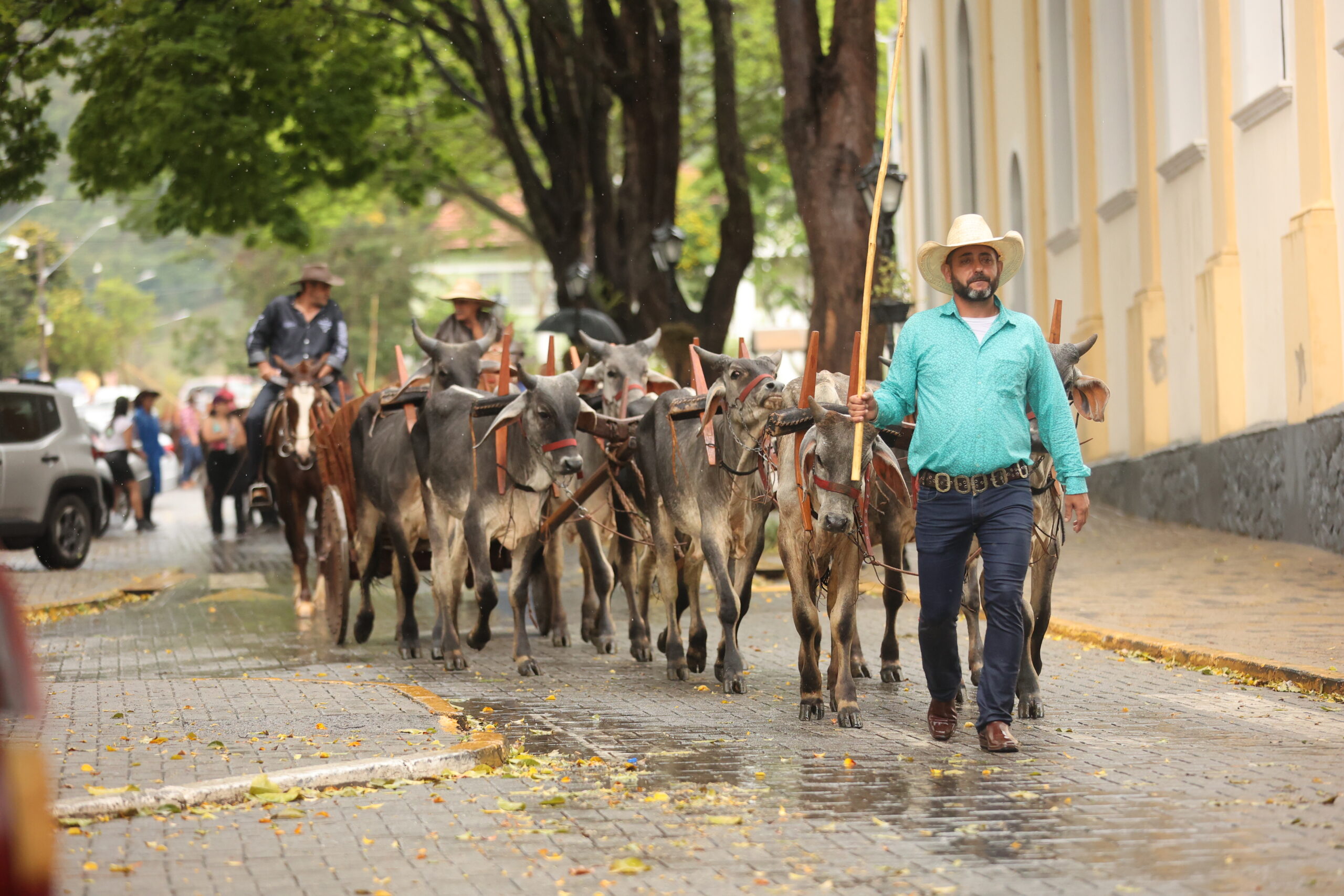 Festa do Peão de Boiadeiro de Malacacheta arrecada mais de 10 toneladas de  alimentos